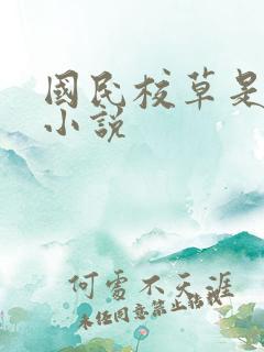 国民校草是女生小说