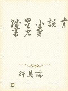 踏星小说有声听书免费