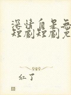 深情自是无情负短剧短剧免费观看