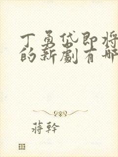 丁勇岱即将播出的新剧有哪些
