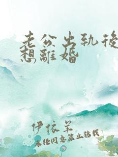 老公出轨后老婆想离婚
