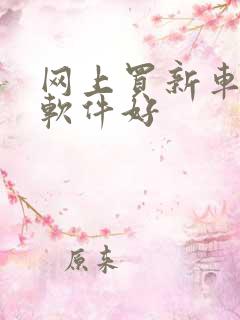 网上买新车哪个软件好