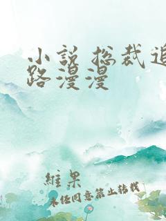 小说 总裁追妻路漫漫 小说 总裁追妻路漫漫