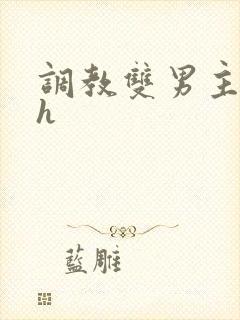 调教双男主小说h