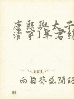 康熙与太子妃[清穿]半君缘