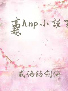 高hnp小说穿越