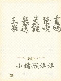 玉米叶发霉了玉米还能吃吗