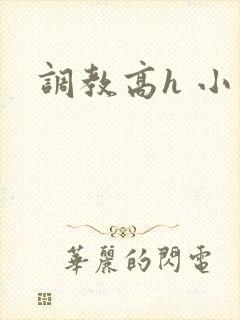 调教高h 小说