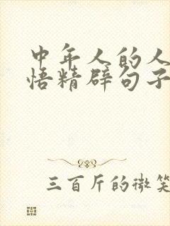 中年人的人生感悟精辟句子