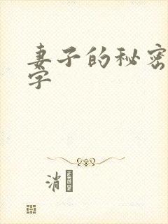 妻子的秘密3中字