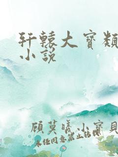 轩辕大宝类似的小说