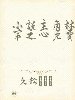 小说主角林辰主宰之心免费阅读