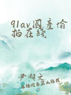 91av国产偷拍在线