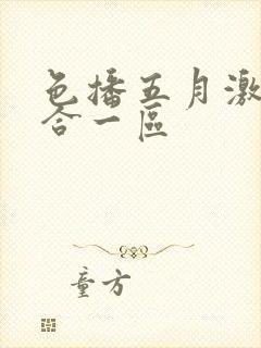 色播五月激情综合一区