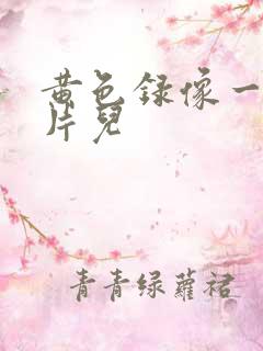 黄色录像一级大片儿