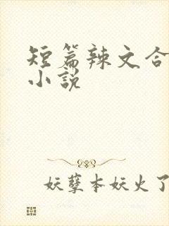 短篇辣文合集的小说
