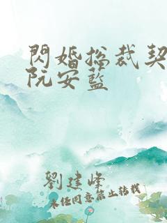 闪婚总裁契约妻阮安蓝
