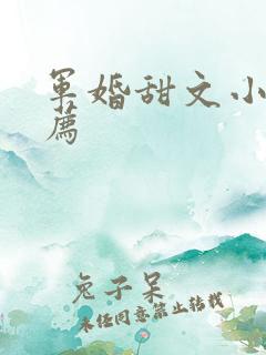 军婚甜文小说推荐