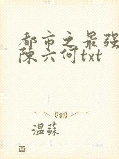 都市之最强狂兵陈六何txt