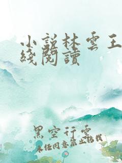 小说林云王雪在线阅读