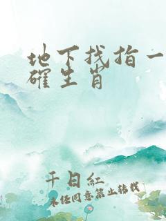 地下找指一个准确生肖