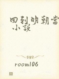 回到明朝当皇帝 小说