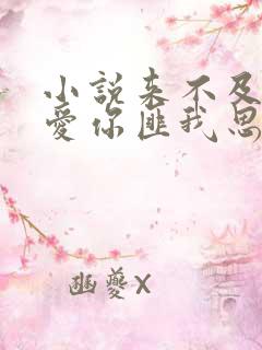 小说来不及说我爱你匪我思存