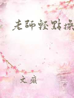 老师轻点操小说