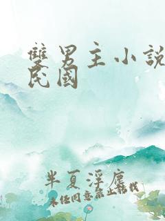 双男主小说推荐民国