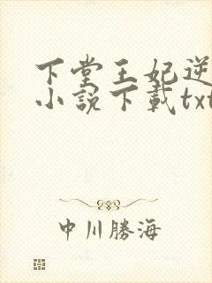 下堂王妃逆袭记小说下载txt