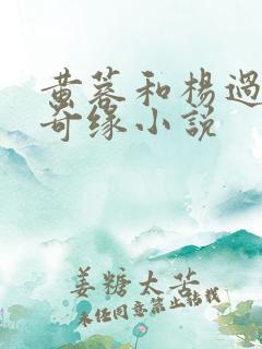 黄蓉和杨过荒岛奇缘小说