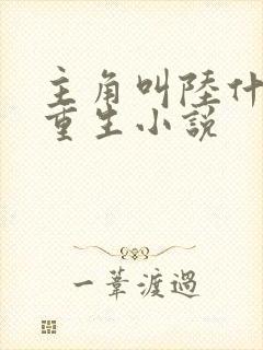 主角叫陆什么的重生小说