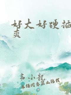 好大好硬插的好爽