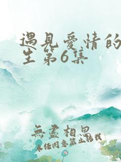 遇见爱情的利先生第6集
