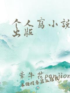 个人写小说怎么出版