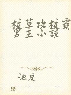 校草攻校霸受双男主小说