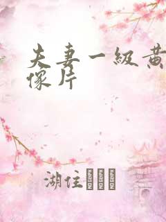 夫妻一级黄色录像片
