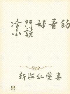 冷门好看的言情小说