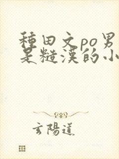 种田文po男主是糙汉的小说