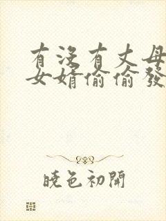 有没有丈母娘和女婿偷偷发什么关系