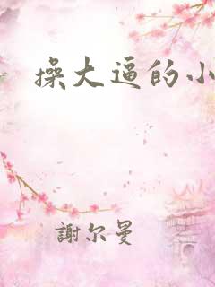 操大逼的小说