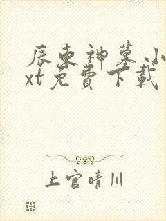 辰东神墓小说txt免费下载