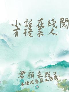 小说在线阅读还有后来人