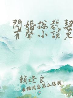 闪婚总裁契约妻有声小说免费听