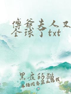 傅爷夫人又惊艳全球了txt