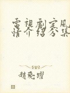 电视剧定风波剧情介绍分集