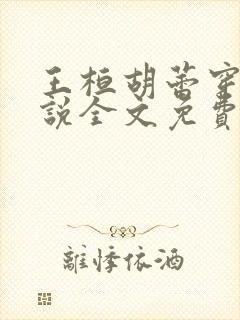 王桓胡蕾穿越小说全文免费阅读