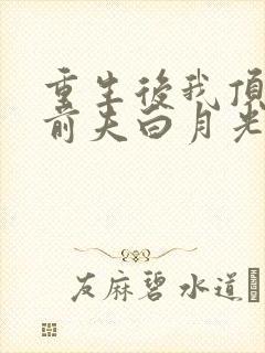 重生后我顶替了前夫白月光小