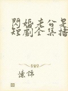 闪婚老公是总裁短剧全集播放