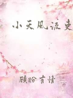 小天风流吏